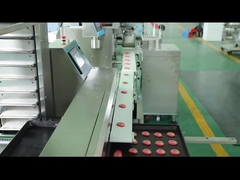 Τεμαχισμένη μηχανή κατασκευής μπισκότων μηχανημάτων 100g Encrusting μπισκότων